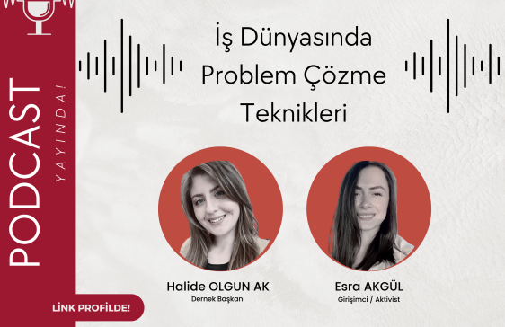 İş Dünyasında Problem Çözme